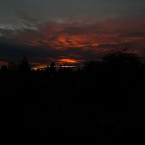 Meet your Posher, Emmanuel